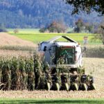 Europa: Die Veränderungen innerhalb der Agrarwirtschaft