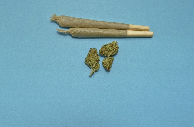 Eckpunktepapier zu langsamer Cannabis-Legalisierung